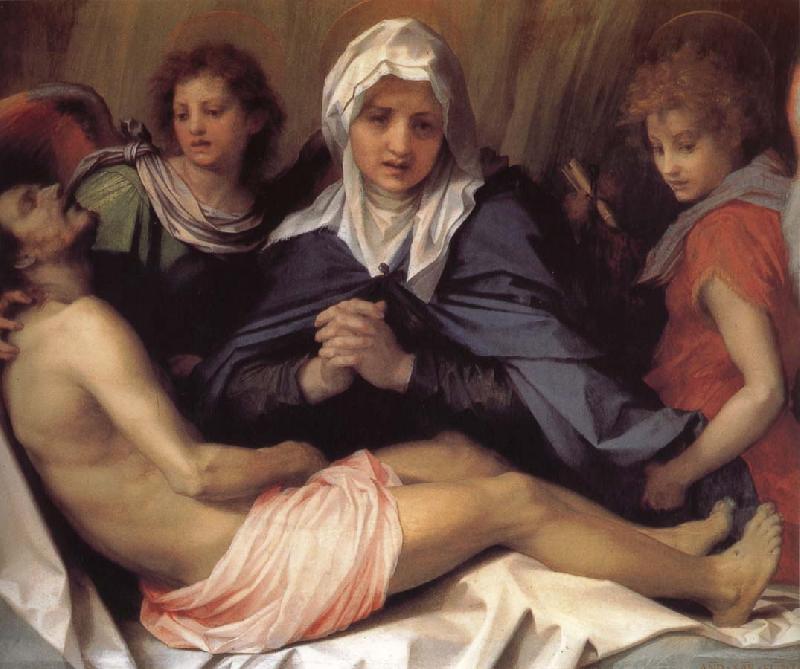 Andrea del Sarto Virgin Mary lament Christ oil painting image